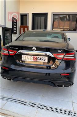Nissan Maxima